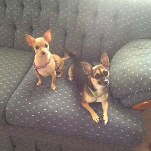 Meet your Posher, Cindy